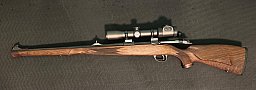Stutzen Sako 85S in .308win