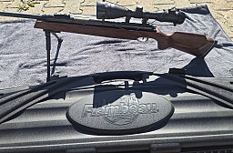 Luftdruckgewehr Diana Modell 54 Airking.