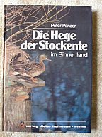 DIE HEGE DER STOCKENTE IM BINNENLAND