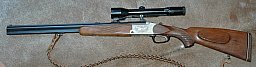 Blaser Bockbüchsflinte