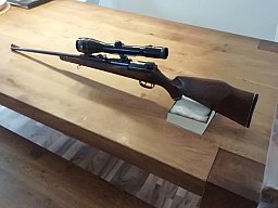 Mauser66
