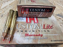 .270/120 grs. SST Hornady 20 stk. Angebot!! #80526# SSZ Berka