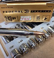 .243 Winchester /85grs. Federal No. P243K Barnes TSX Bleifrei # SSZ Berka