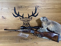 Ruger No. 1 - Kal. 308Win - Kahles Helia 2-10x50 - Gravur Reh / Gams Waffen Schlemmer Ingolstadt