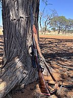 DB Krieghoff classic