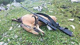 Murmel und Gamsjagd Tirol / Slowenien 2027