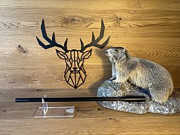 Blaser R8 Wechsellauf .338 Lapua Mag - 68,5cm - M18x1 - Jagdmatch Waffen Schlemmer Ingolstadt