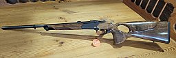 Blaser K95 Success