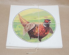 *** Wildmotive FASAN Scheiben 25x 14cmx14cm***