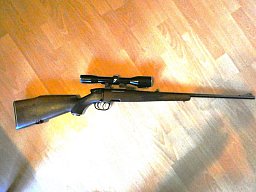 Steyr SL