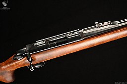 Remington Modell 788 Kaliber .222RemMag