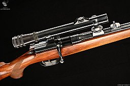 BSW Modell W 625B Kaliber .22lr