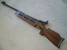 Match-Luftgewehr Diana Modell 75