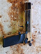 BROWNING GPDA 9 mm Gold