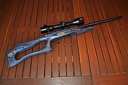 CZ 455 Evolution KK 22lfB mit Optik / 17HMR Wechsellauf Optional