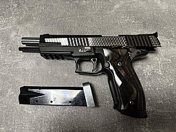 Sig Sauer X-Six P226 Silverdust