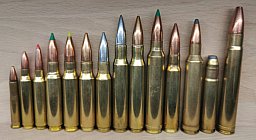 Set Langwaffen/Gewehr Patronen, 14 Stück, verschiedene Geschosse, Deko-Patrone