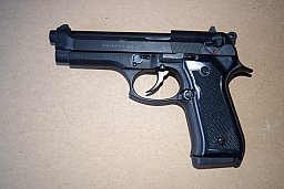 CHIAPPA M 9 22 lr.