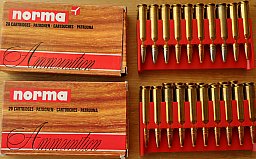 NORMA .308Win 180gr Plastic Spitz D-C - 40 Patronen