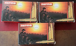 NORMA .308Win 180gr Plastic Spitz D-C - 60 Patronen