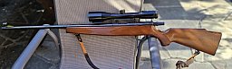 Büchse 22er Hornet mit Magzin und Swarovski Habicht 9x42 inkl ca 100 Schuß Munition