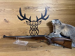 Anschütz Modell 1518 Stutzen Kal. .22 Magnum - Waffen Schlemmer Ingolstadt