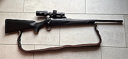 Sauer 101 Forest im Kal. 308 mit Dentler Montage und Meopta 1-6x24