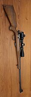 Anschütz .22 HORNET mit Vortex Crossfire II