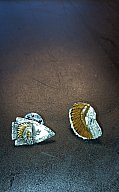 2Pins von einem `Sioux` Pow Wow"