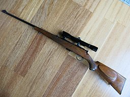 Anschütz .22 Magn.