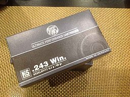 40 Stück RWS .243 Win