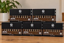 RWS Evolution .308 Win., 11,9 g (184 gr) 5 Packungen (100 Schuss)