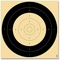 250 Stück Einsteckspiegel Nr. 8 Großkaliber Qualifikationsscheibe 25m Unterhebelgewehr B 50m 26x26cm