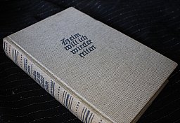 Heim will ich wieder reiten - Historischer Roman aus der Buchreihe 'Nordischer Geist' Albin Widen