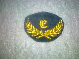 Kepi Abzeichen, CS- Engineer, Civil War, Bürgerkrieg, Uniform, Militaria