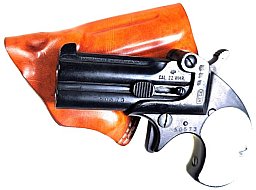 Derringer, Reck, .22WinMag, mit Holster