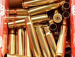 50 Hornady Hülsen .376 Steyr