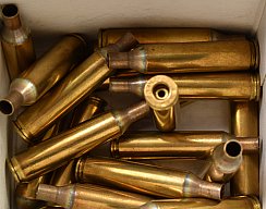 20 Hülsen Kaliber .17 Remington