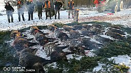 Drückjagd im Westerwald