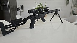 Ruger precision rimfire. 22
