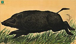 1 Stück - DJV Scheibe Nr. 5 Überläufer flüchtig LINKS (kommt von RECHTS) 76x132cm | 50m lfd. Keiler
