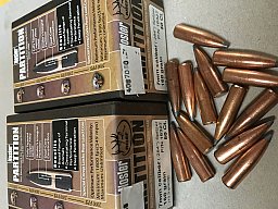 7mm/.284 160grs Nosler Partition