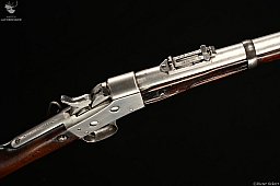 Remington Rolling Block M1867 Carbine Kaliber .45-70Gov.