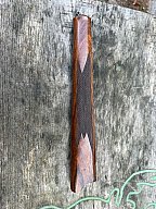 Vorderschaft Blaser R93