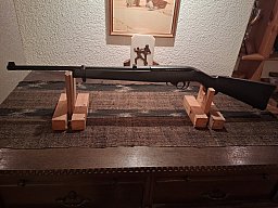 Ruger 10/22
