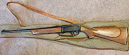 Daisy Luftgewehr