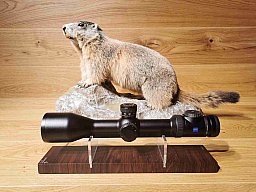 Zeiss Victory V8 2,8-20x56 M ASV - Absehen 60 - Gebraucht - Waffen Schlemmer