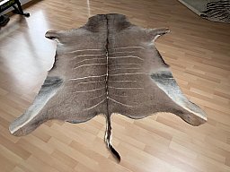 Kududecke Namibia 255 x 185 cm