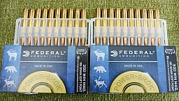 Federal kal.300WinMag. 180gr. Teilmantel 40 Stück ********ansehen kostet nichts.