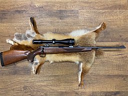 Sauer 90 .30-06Spring